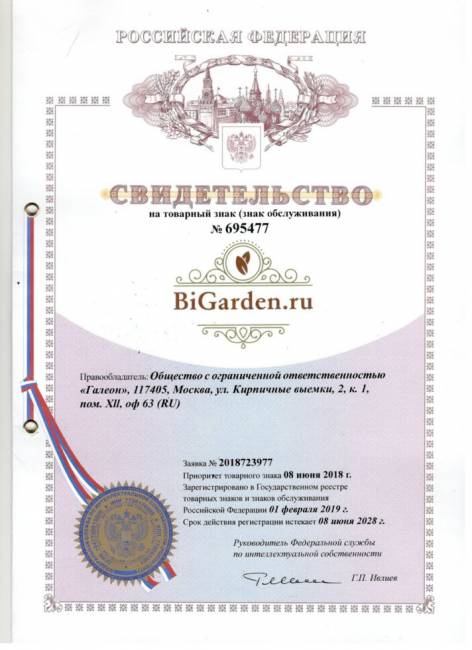 Двойное подвесное кресло "Gemini promo White" без стойки, розовая подушка