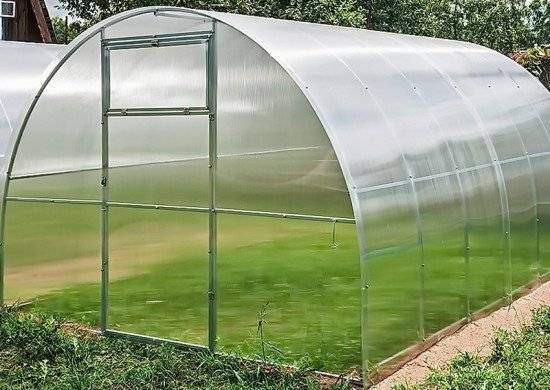 Теплица Агросфера Стандарт 8м, без СПК