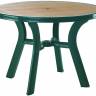 Стол пластиковый обеденный D-Truva